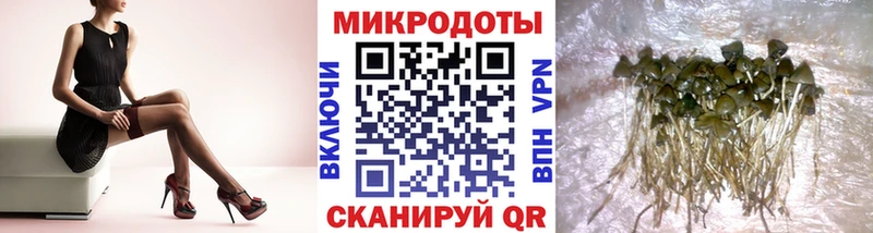 Купить  Мирный  Галлюциногенные грибы мицелий 